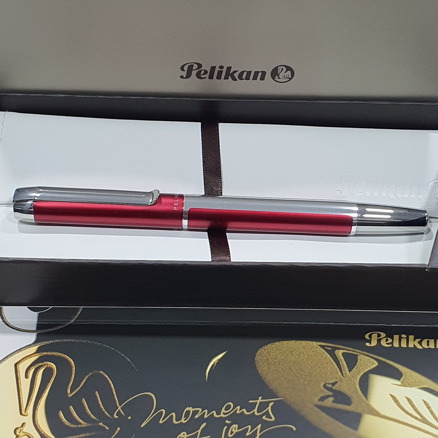 Pelikan Pura P40 Bordeaux Fountain Pen